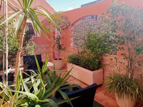 Terraza